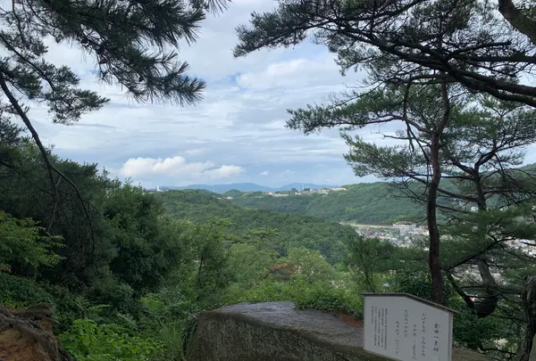 文学のこみちの写真・動画_image_380451