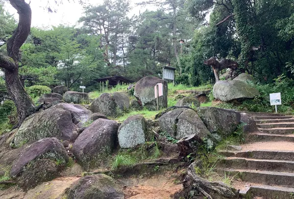 文学のこみちの写真・動画_image_380453