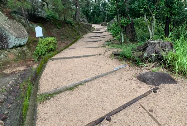 文学のこみちの写真・動画_image_380454