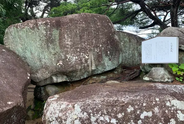 文学のこみちの写真・動画_image_380456