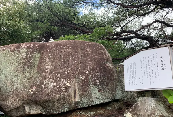 文学のこみちの写真・動画_image_380457