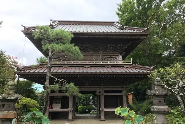 報国寺（竹寺）の写真・動画_image_380460