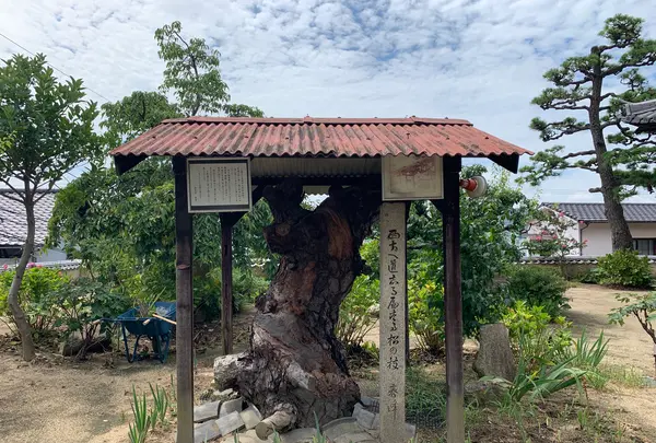 持光寺の写真・動画_image_380578