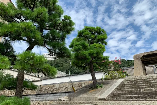 持光寺の写真・動画_image_380582