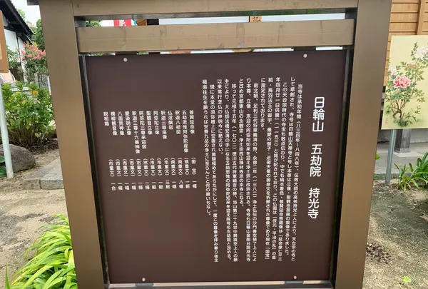 持光寺の写真・動画_image_380584