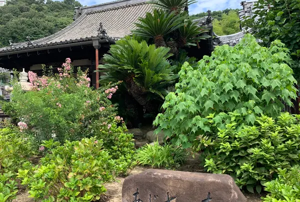 持光寺の写真・動画_image_380591