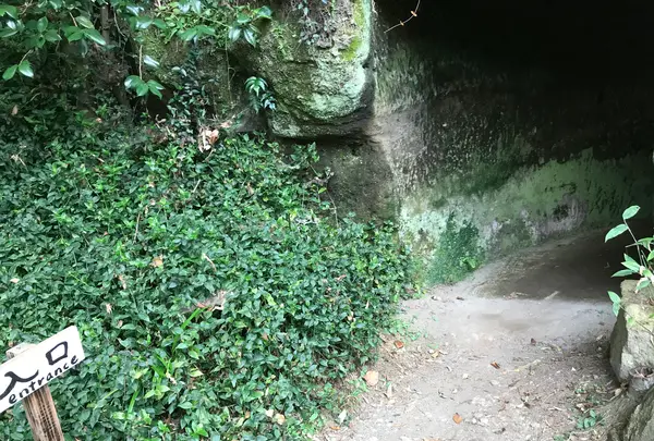 報国寺（竹寺）の写真・動画_image_380642