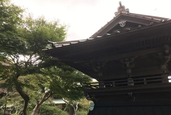 報国寺（竹寺）の写真・動画_image_380659