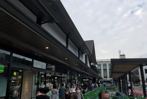 報国寺（竹寺）の写真・動画_image_380673