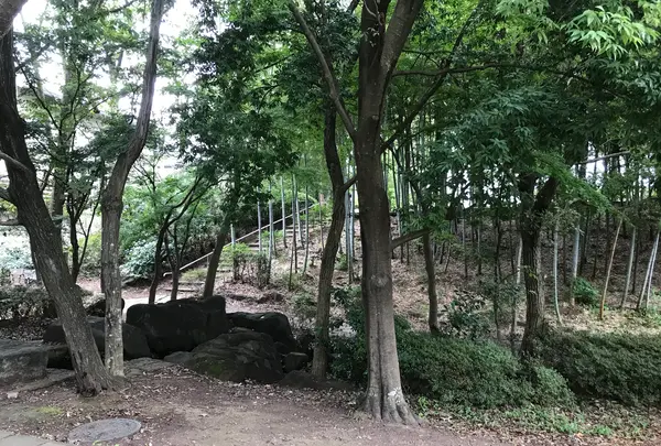 せせらぎ公園の写真・動画_image_380996