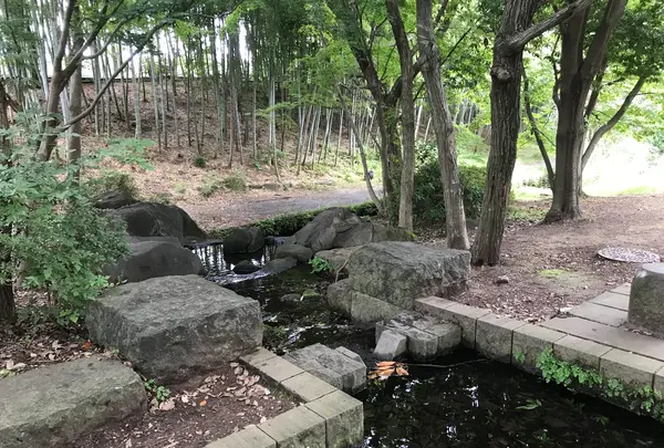 せせらぎ公園の写真・動画_image_381000