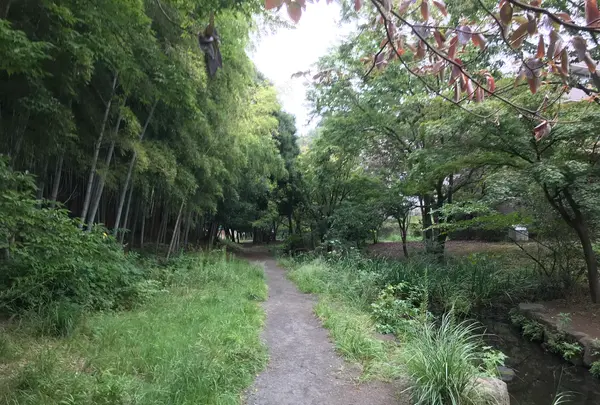 せせらぎ公園の写真・動画_image_381003