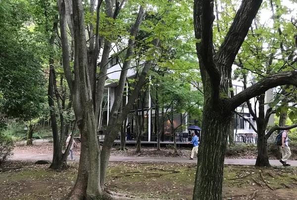 せせらぎ公園の写真・動画_image_381005