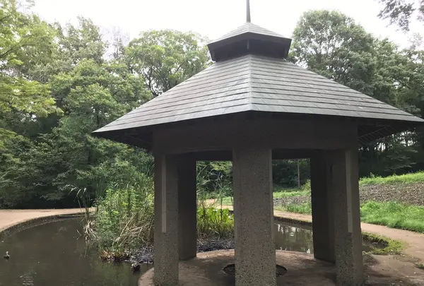 せせらぎ公園の写真・動画_image_381008