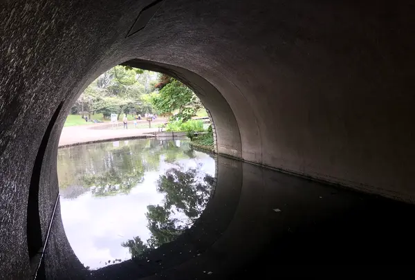 せせらぎ公園の写真・動画_image_381010