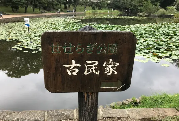 せせらぎ公園の写真・動画_image_381027