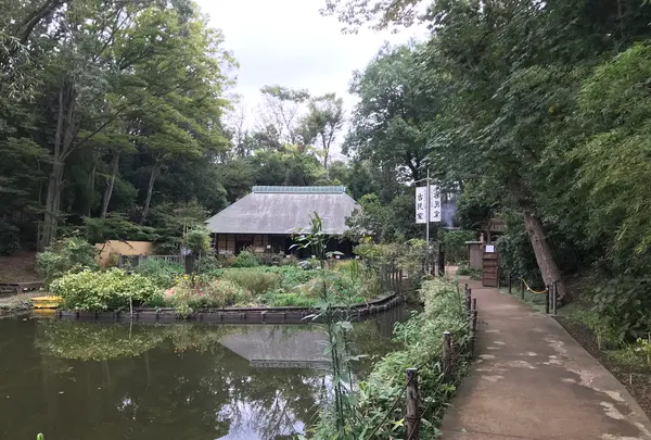 せせらぎ公園の写真・動画_image_381032