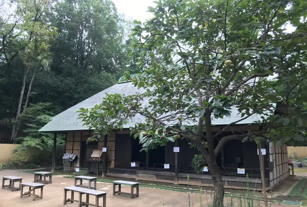 せせらぎ公園の写真・動画_image_381034