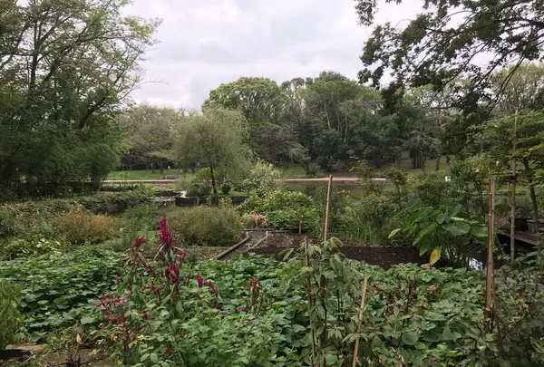 せせらぎ公園の写真・動画_image_381047