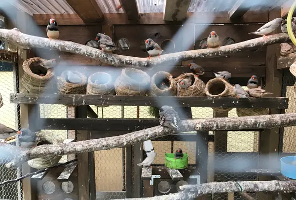 せせらぎ公園の写真・動画_image_381116