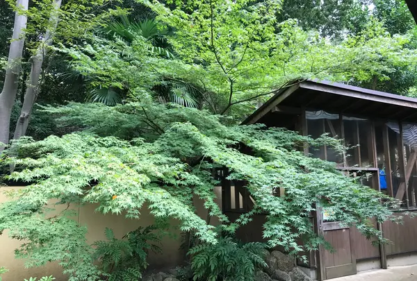 せせらぎ公園の写真・動画_image_381121