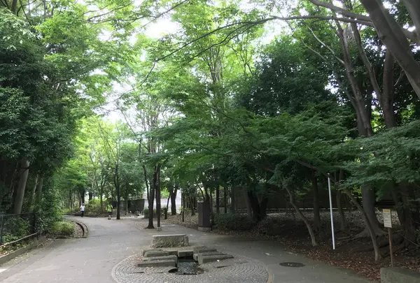せせらぎ公園の写真・動画_image_381125
