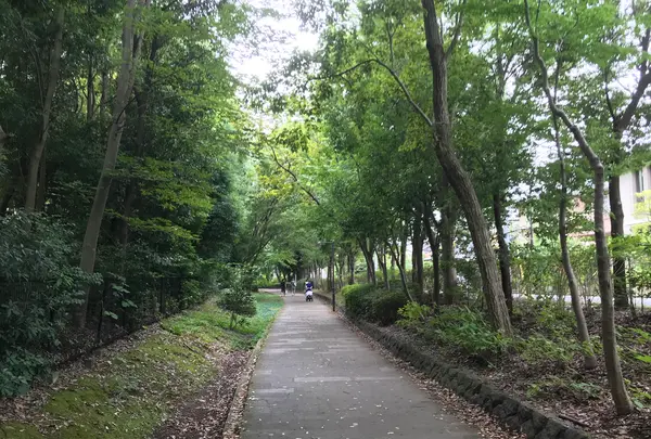 せせらぎ公園の写真・動画_image_381126