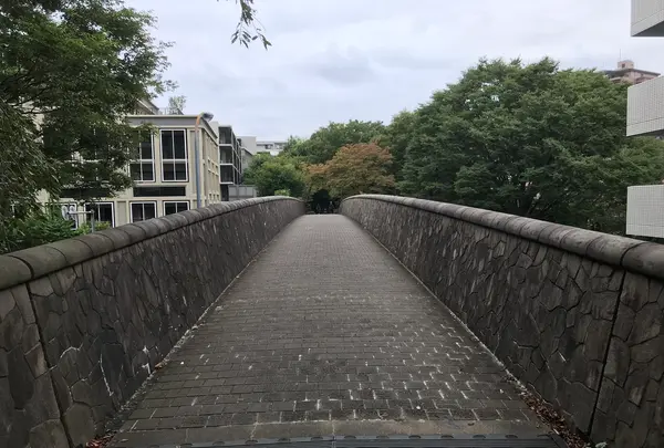 せせらぎ公園の写真・動画_image_381127