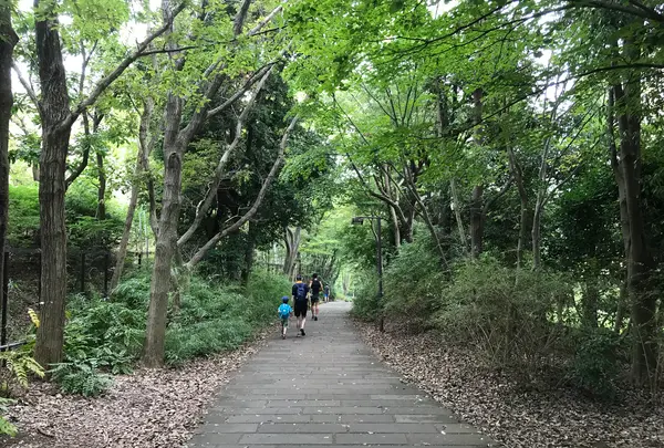 せせらぎ公園の写真・動画_image_381129
