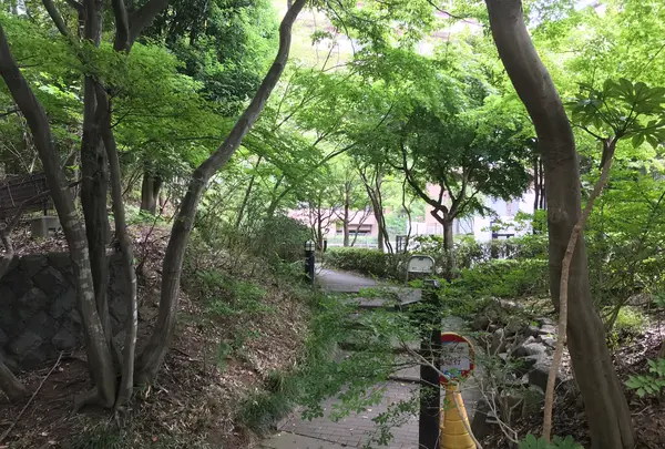 せせらぎ公園の写真・動画_image_381131