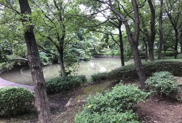 せせらぎ公園の写真・動画_image_381132