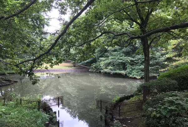 せせらぎ公園の写真・動画_image_381133