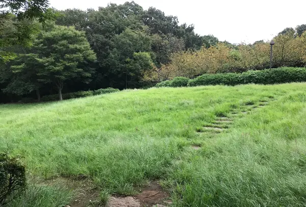 せせらぎ公園の写真・動画_image_381142