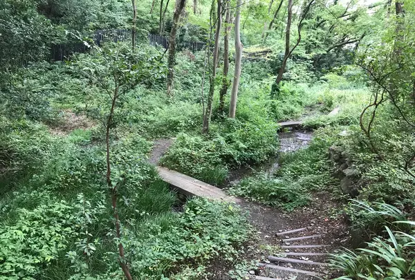 せせらぎ公園の写真・動画_image_381145