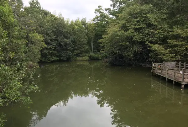 せせらぎ公園の写真・動画_image_381148