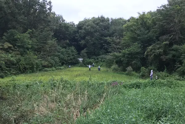 せせらぎ公園の写真・動画_image_381149