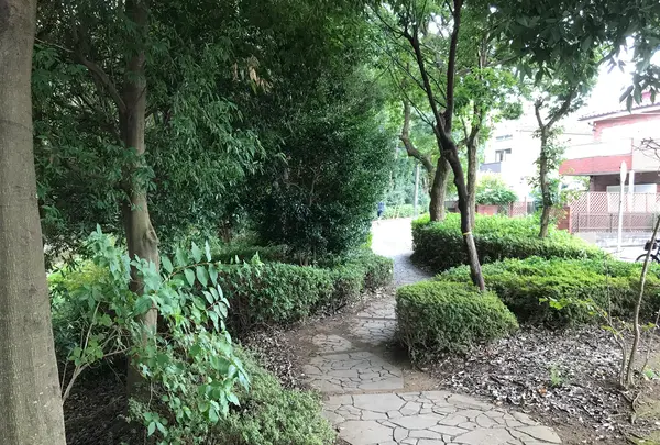 せせらぎ公園の写真・動画_image_381150