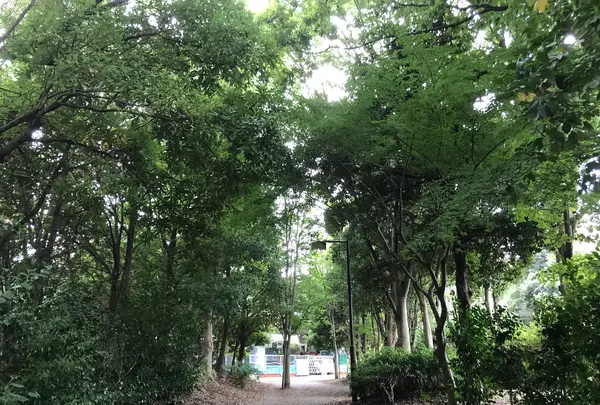 せせらぎ公園の写真・動画_image_381151