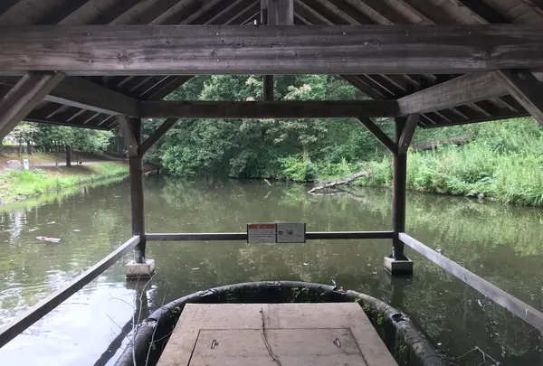 せせらぎ公園の写真・動画_image_381152