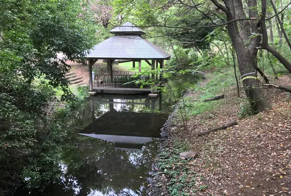 せせらぎ公園の写真・動画_image_381154