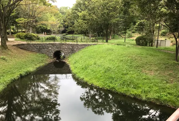 せせらぎ公園の写真・動画_image_381155