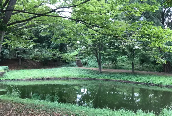 せせらぎ公園の写真・動画_image_381156