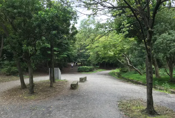 せせらぎ公園の写真・動画_image_381157