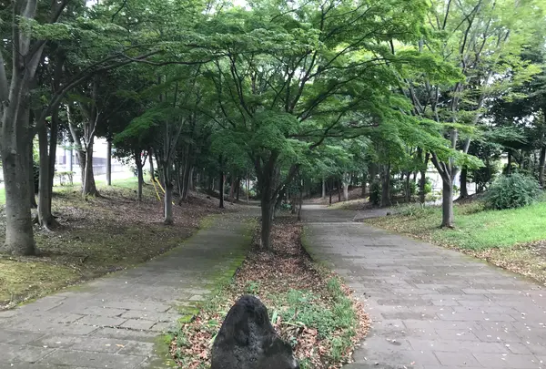 せせらぎ公園の写真・動画_image_381161
