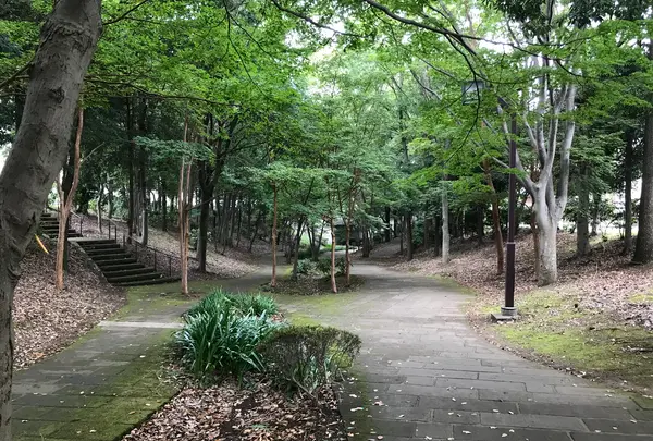 せせらぎ公園の写真・動画_image_381162