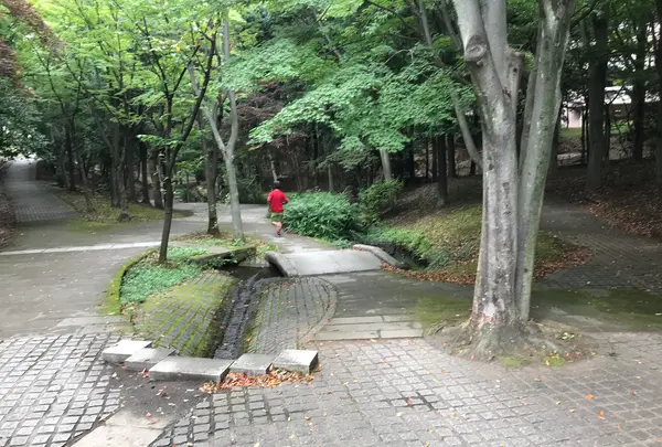 せせらぎ公園の写真・動画_image_381163