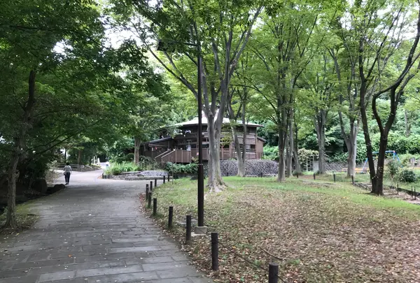 せせらぎ公園の写真・動画_image_381165