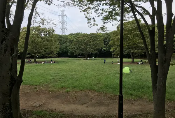 せせらぎ公園の写真・動画_image_381166
