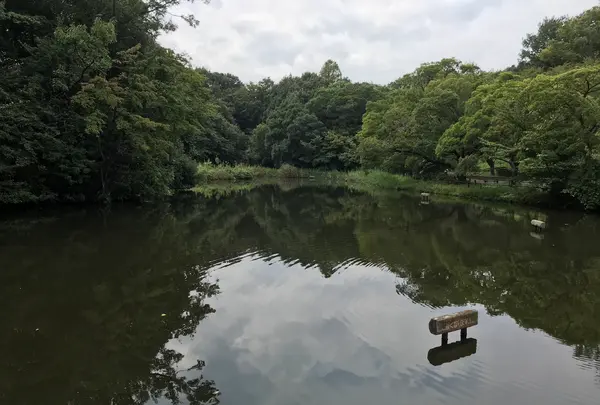 せせらぎ公園の写真・動画_image_381167