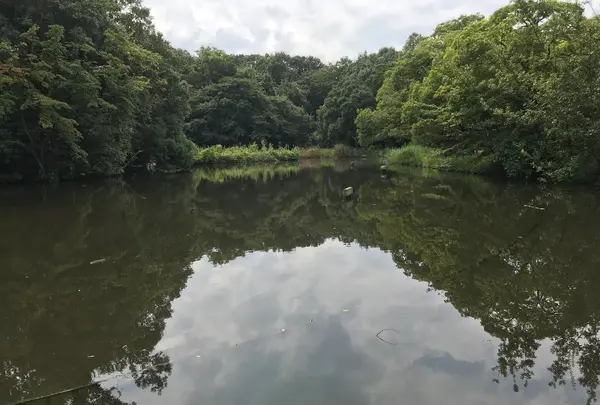 せせらぎ公園の写真・動画_image_381168